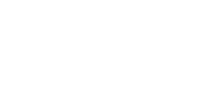 kakao_logo_W